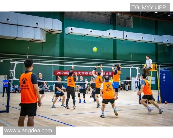 南京排球队的默契配合与战术探讨聚焦排球的精彩瞬间与团队精神