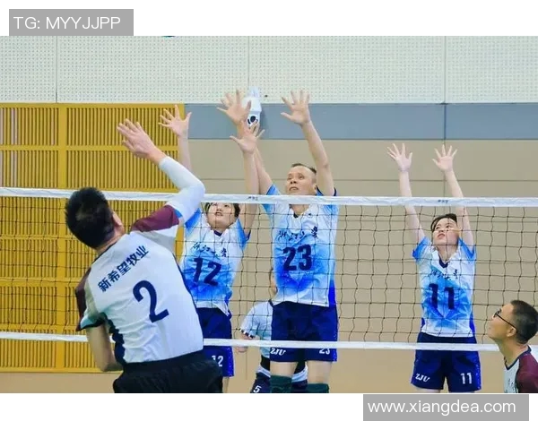 杭州排球队技术创新引领排球新潮流实力排名再创新高