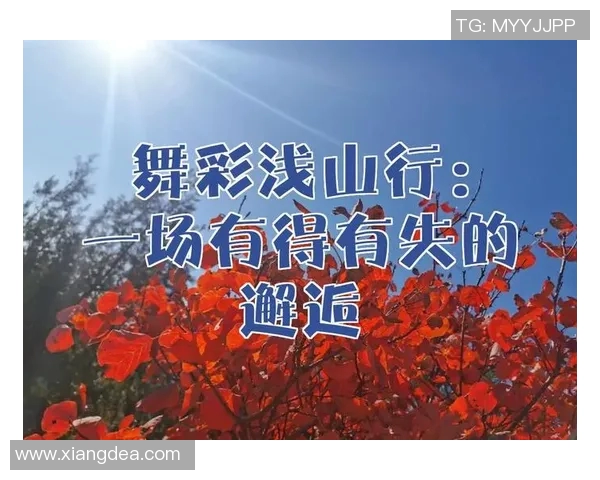 王丽的排球人生：从热爱到巅峰的深度对话与心路历程