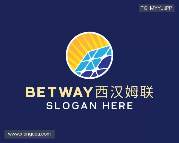 了解betway西汉姆联官网