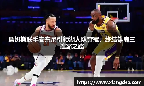 77体育热爱你的热爱